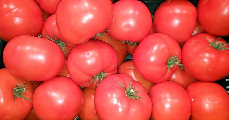Brochettes apéritives fromage et fruits : préparez-les à l'avance sans stress
