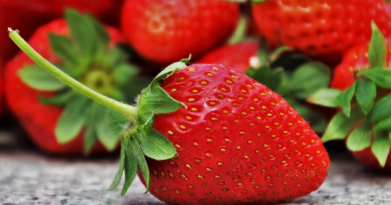 Choisir les fruits selon la saison : le premier secret d'une tarte réussie