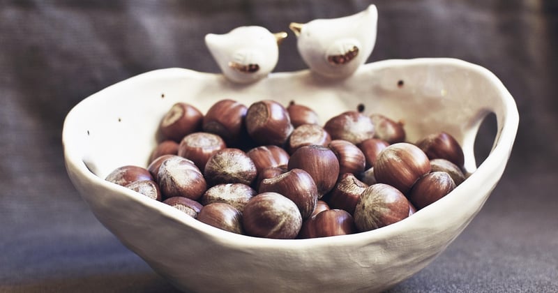 Le meilleur plat végétarien riche en protéines pour sportifs